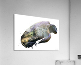 Turtle2 Acrylic Print
