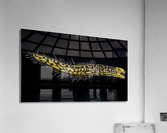 YellowSerpent trans3 update Acrylic Print