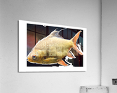 YellowFishCharacter3 Acrylic Print