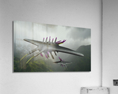 AlphaCreature Acrylic Print
