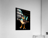 Birdi Acrylic Print