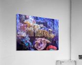AquariumFishTank2 Acrylic Print