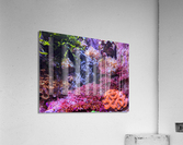 AquariumFishTank Acrylic Print