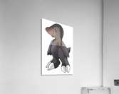 Cloudydo Acrylic Print