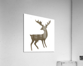 Deer Acrylic Print