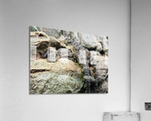 Crocodiles Acrylic Print