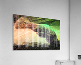 Crocodile Acrylic Print