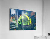 GreenFish Acrylic Print