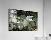 GreenLeaves3 Acrylic Print
