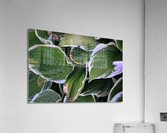 GreenLeaves2 Acrylic Print
