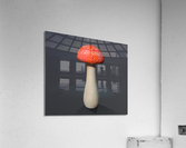 Mushroom1 Acrylic Print