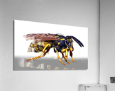kelly johnson wasp render3 Acrylic Print
