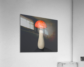 Mushroom1 Acrylic Print