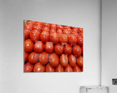 Tomatoes Acrylic Print