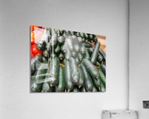 Cucumber Acrylic Print