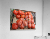 Tomato Acrylic Print