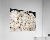 Garlic Acrylic Print