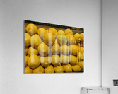 Lemons Acrylic Print