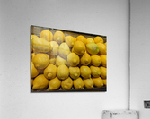Lemons Acrylic Print