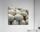 Cantaloupe Acrylic Print