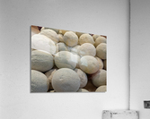 Cantaloupe Acrylic Print