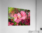 PinkFlowers Acrylic Print