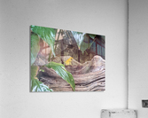 Toad Acrylic Print