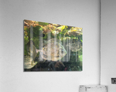 Colorful Fish Acrylic Print