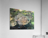 Colorful Fish Acrylic Print