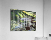 Colorful Fish Acrylic Print