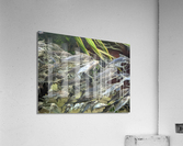 Colorful Fish Acrylic Print