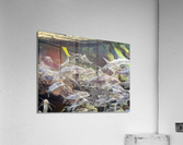 Colorful Fish Acrylic Print