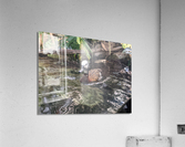 Duck Acrylic Print