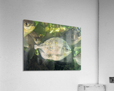 Colorful Fish Acrylic Print