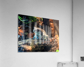 Toad Acrylic Print