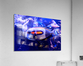 WhiteFish Acrylic Print
