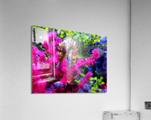 Seahorse Acrylic Print