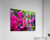 Seahorse Acrylic Print