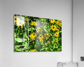 Yellow Flowers Acrylic Print