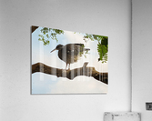 Bird Acrylic Print