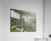 Bird Acrylic Print