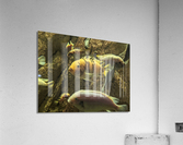 Colorful Fish Acrylic Print