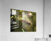 Colorful Fish Acrylic Print