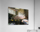 Colorful Fish Acrylic Print