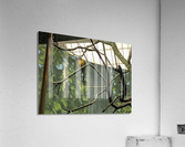 Zoo Acrylic Print