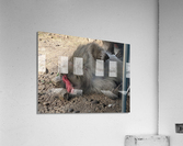 Monkey Acrylic Print