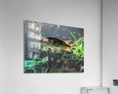 Colorful Fish Acrylic Print