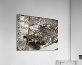 Bird Acrylic Print