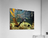 Ocean Acrylic Print