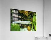 Colorful Fish Acrylic Print